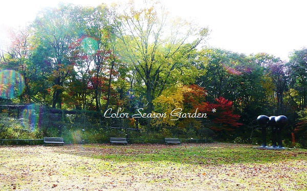 2014年野草園