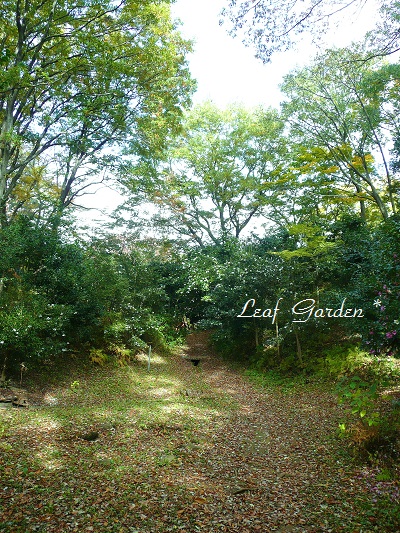 野草園2014☆