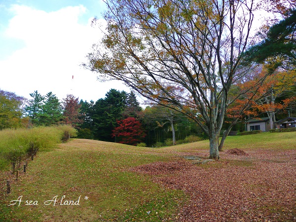 2014☆野草園