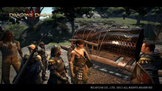 Dragons Dogma Screen Shot はあかはら