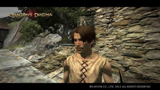 Dragons Dogma Screen Shot たなは
