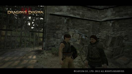 Dragons Dogma Screen Shot た