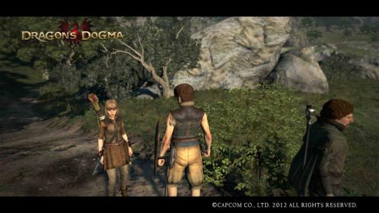 Dragons Dogma Screen Shot にか