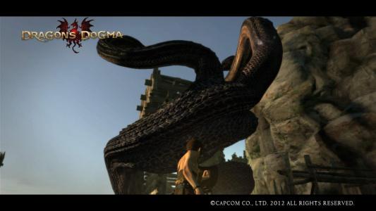 Dragons Dogma Screen Shot まは