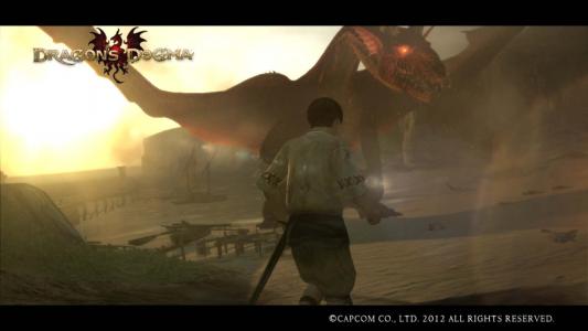 Dragons Dogma Screen Shot ら
