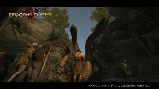 Dragons Dogma Screen Shot らい