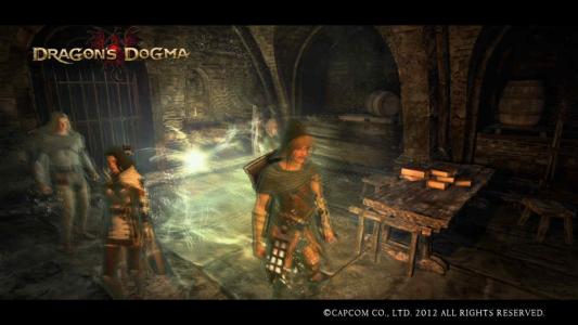 Dragons Dogma Screen Shot 2-1