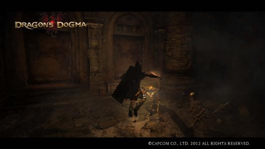 Dragons Dogma Screen Shot 2-8