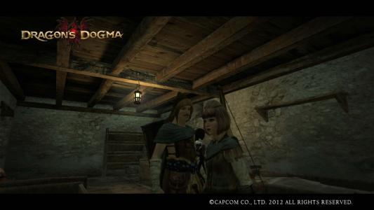 Dragons Dogma Screen Shot 2-11