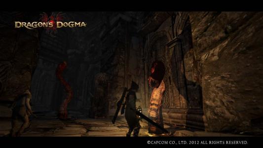 Dragons Dogma Screen Shot 2-12
