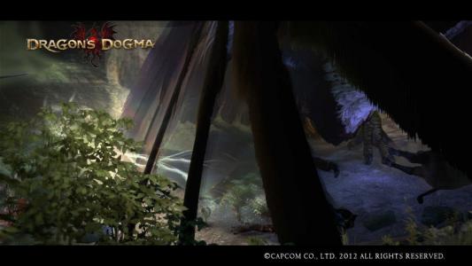 Dragons Dogma Screen Shot 2