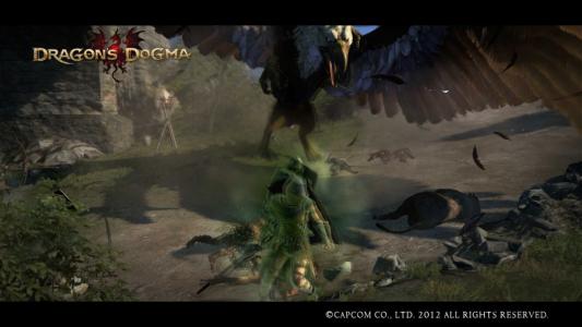 Dragons Dogma Screen Shot 3