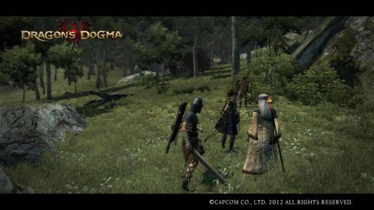 Dragons Dogma Screen Shot 4