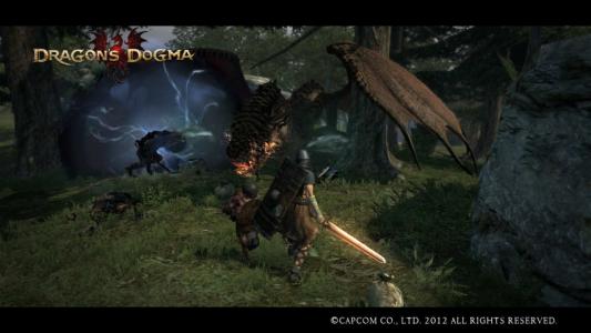 Dragons Dogma Screen Shot 5