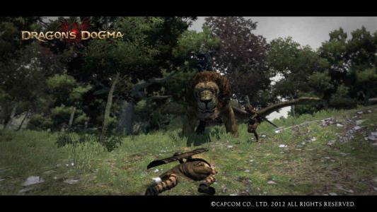 Dragons Dogma Screen Shot 6