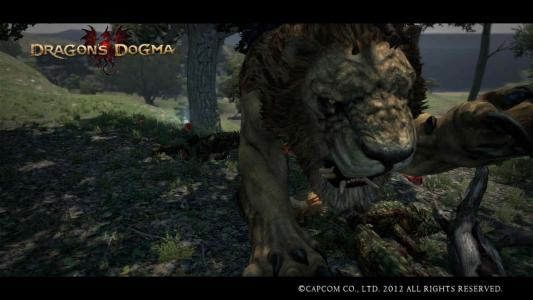 Dragons Dogma Screen Shot 7