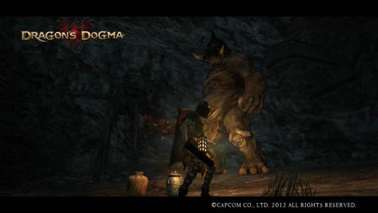 Dragons Dogma Screen Shot 9