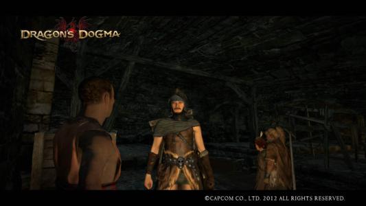 Dragons Dogma Screen Shot 12