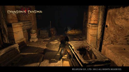 Dragons Dogma Screen Shot 13