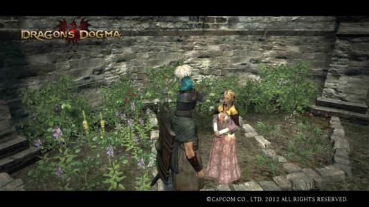 Dragons Dogma Screen Shot 17