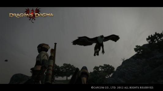 Dragons Dogma Screen Shot 19