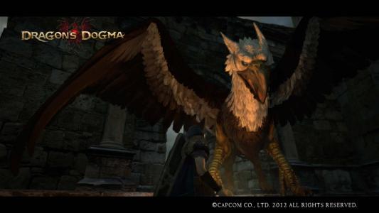Dragons Dogma Screen Shot 24