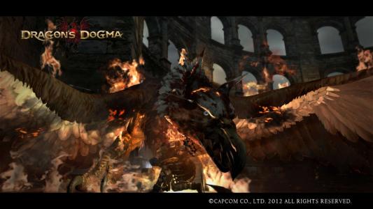 Dragons Dogma Screen Shot 25