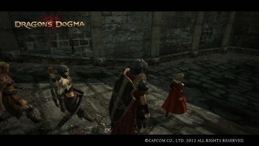 Dragons Dogma Screen Shot 31