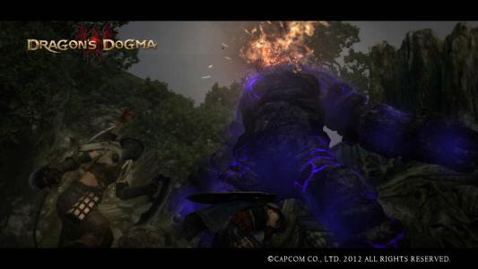 Dragons Dogma Screen Shot 28