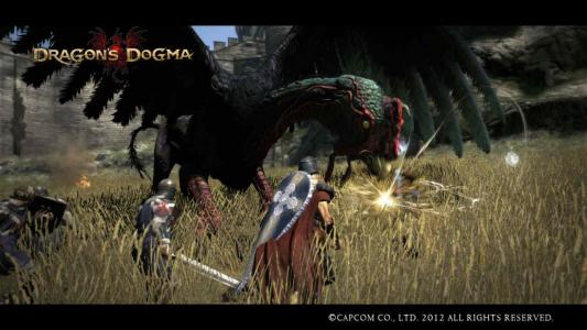 Dragons Dogma Screen Shot 36
