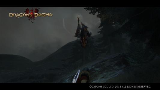 Dragons Dogma Screen Shot 37