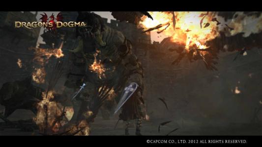 Dragons Dogma Screen Shot 39