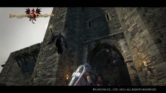 Dragons Dogma Screen Shot 40
