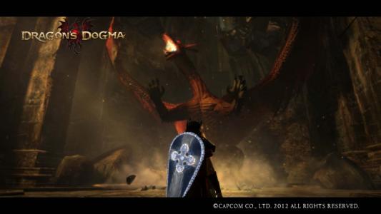 Dragons Dogma Screen Shot 59