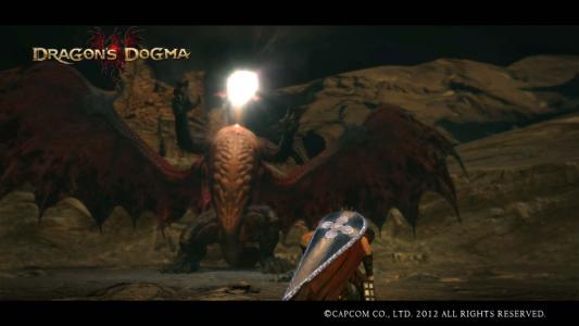 Dragons Dogma Screen Shot 64