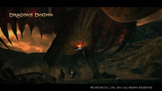 Dragons Dogma Screen Shot 65