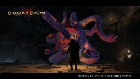 Dragons Dogma Screen Shot 67