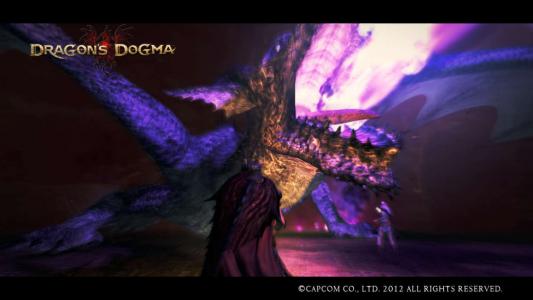 Dragons Dogma Screen Shot 69