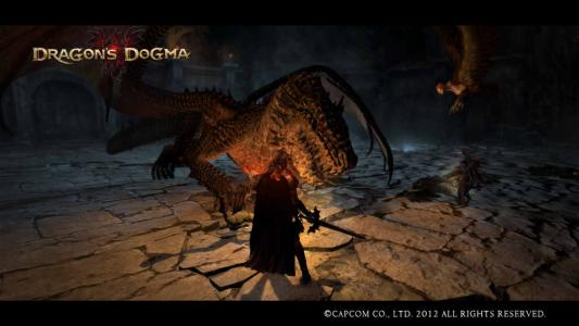 Dragons Dogma Screen Shot 70