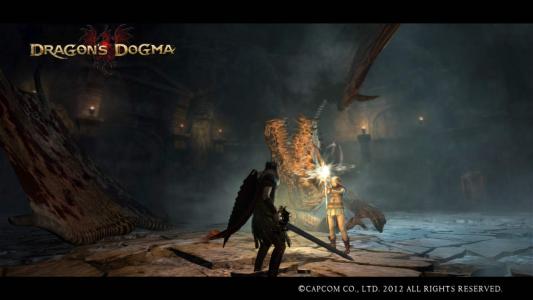 Dragons Dogma Screen Shot 71