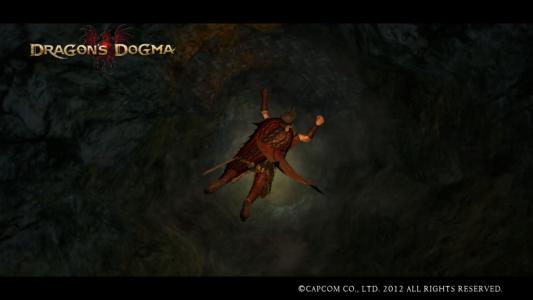 Dragons Dogma Screen Shot 710