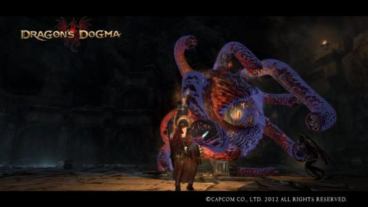 Dragons Dogma Screen Shot 68
