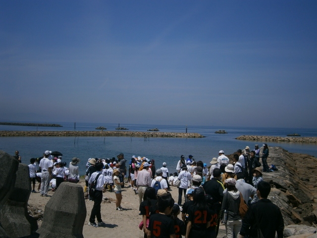 P5190059 (640x480)