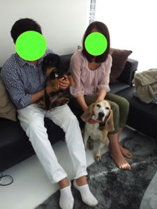 家族とハックとまーくん