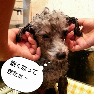 2012-09-21-17-58-37_deco.jpg