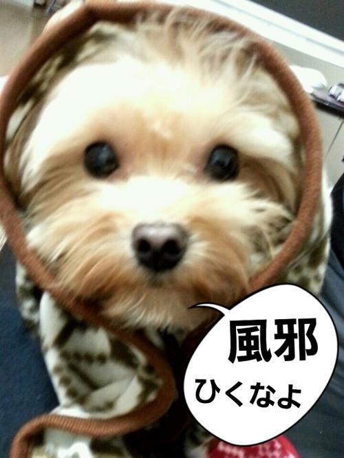 2012-10-26-16-34-05_deco.jpg