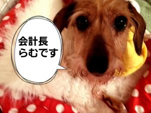 2012-10-30-16-36-08_deco.jpg