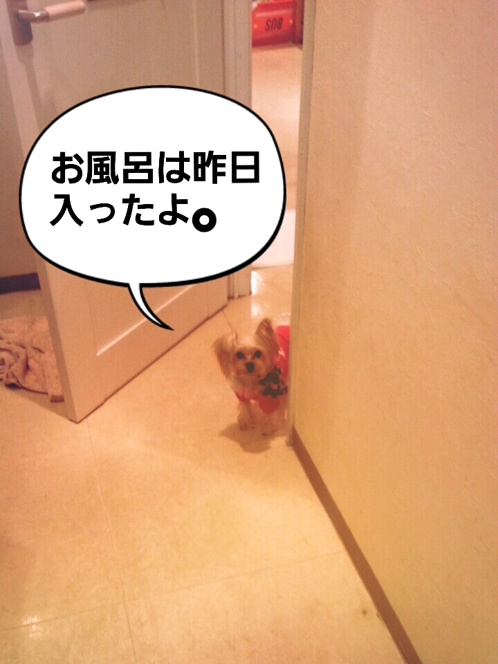 2012-10-30-16-38-57_deco.jpg