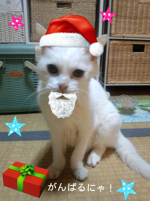 2012-12-13-21-05-01_deco.jpg