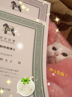2012-12-14-21-59-11_deco.jpg